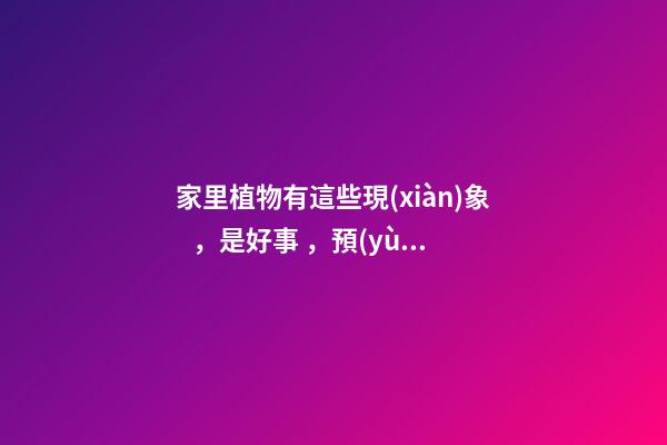 家里植物有這些現(xiàn)象，是好事，預(yù)示你家要發(fā)大財(cái)了！